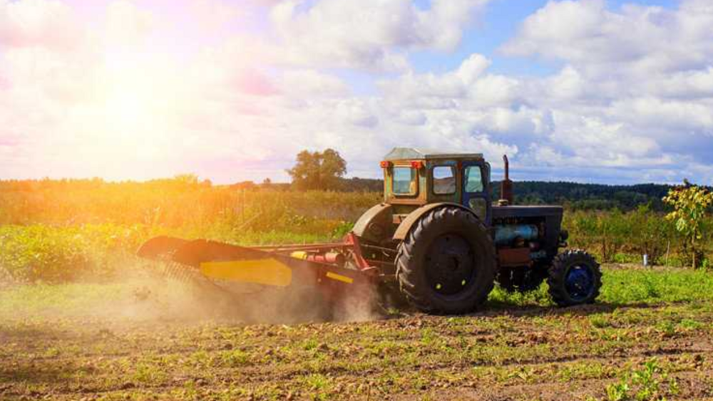 Comparative Analysis of Material and Performance of Mulcher Teeth and Flail Hammer Mower Blades