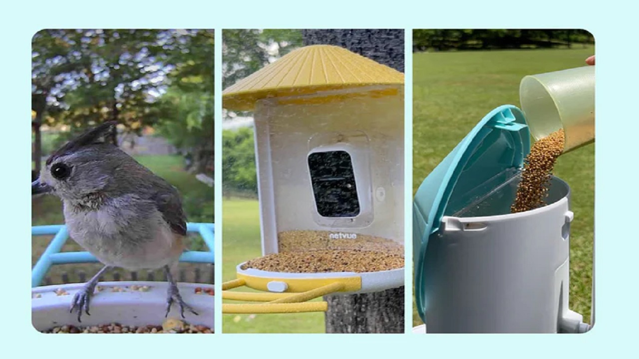 The Ultimate Bird Feeding Guide: Using the Dual Seed Bins of Birdfy Feeder Bamboo